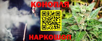 прущий лед Новозыбков