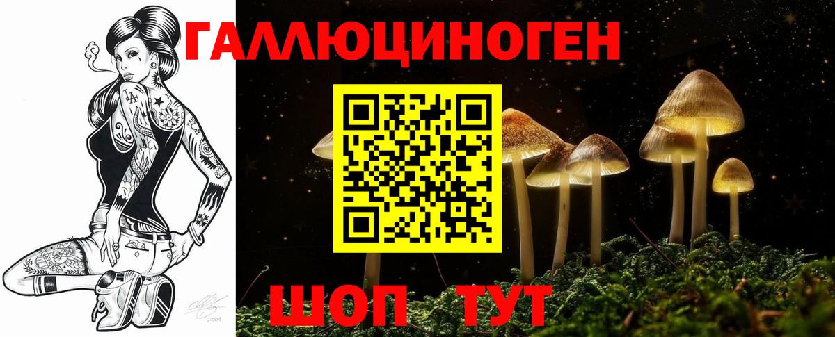 Галлюциногенные грибы Magic Shrooms  Вход с VPN  Татарск 