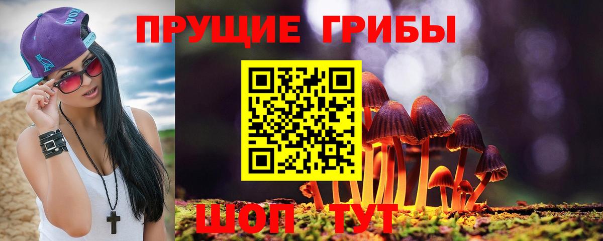Псилоцибиновые грибы ЛСД Татарск